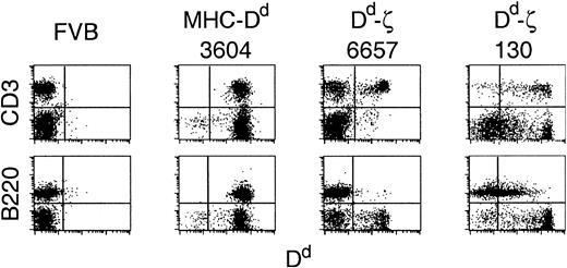 Figure 3. Expression of Dd-ζ in transgenic mice. Fresh splenocytes from the indicated strains were stained with anti-CD3 or anti-B220 and anti-Dd (34-2-12) mAbs and evaluated by flow cytometry. Represented are the parental FVB strain, the 3604 strain (MHC-Dd), and 2 Dd-ζ homozygous transgenic strains, 6657 and 130.