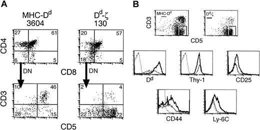 Figure 7. Dd-ζ thymocytes show an increased percentage of DN cells expressing high levels of CD5. (A) Freshly isolated thymocytes from MHC-Dd (left column) or homozygous 130 Dd-ζ (right column) transgenic mice were evaluated by flow cytometry. The CD4–CD8–(DN) gated cells were examined for CD3 and CD5 expression. The percentage of viable gated cells is indicated in each quadrant. (B) Fresh thymocytes from panel A were gated on CD3–CD5high cells as indicated and evaluated for Dd, Thy1.1, CD25, CD44, or Ly-6C expression. MHC-Dd cells are represented with a thin solid line, Dd-ζ by a thick solid line, and control fluorochrome-labeled Ab by a dotted line.