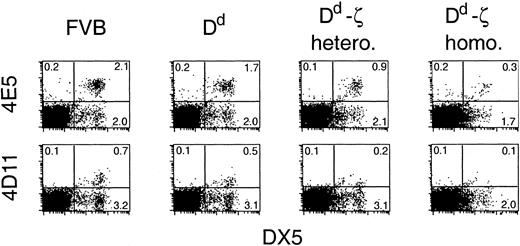 Figure 12. In vivo loss of NK cells that bind to Dd. Fresh splenocytes from mice of the indicated strains were evaluated by flow cytometry for expression of the NK cell marker DX5 and either 4E5 (Ly-49D) or 4D11 (Ly-49G2). FVB, MHC-Dd, and Dd-ζ splenocytes did not show detectable levels of A1 (Ly-49A) or 5E6 (Ly49-C&I) staining (unpublished observations, February 22, 2000). The Dd-ζ cells were obtained from 130 strain mice.