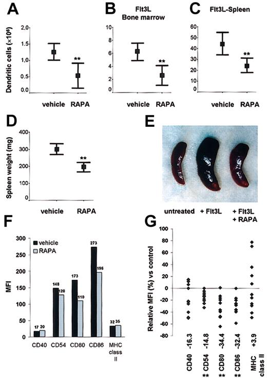 Figure 4. DC generation in steady-state and dynamic conditions. In vivo administration of RAPA suppresses DC generation under (A) steady-state and (B-C) dynamic conditions and inhibits up-regulation of costimulatory molecules. (A-C) Effect of RAPA or drug vehicle on the number of CD11c+ DCs/tissue on day 10 (with or without Flt3L). Results are representative of 8 to 10 animals/treatment group. **P = .005 versus vehicle (A, normal spleen), P = .003 versus vehicle (B, Flt3L bone marrow), P = .002 versus vehicle (C, Flt3L spleen); 2-tailed Student t test. Bars indicate 95% confidence interval and mean (rectangle). (D-E) Effect of RAPA or drug vehicle on spleen weight and appearance (8 animals/treatment group) in Flt3L-treated animals on day 10. **P = .0004 versus vehicle, 2-tailed Student t test. Bars indicate 95% confidence interval and mean (rectangle). (F-G) Effect of in vivo RAPA or drug vehicle administration on costimulatory and MHC class II molecule up-regulation after ex vivo LPS stimulation. Cells were gated on CD11c. The median fluorescence intensity (MFI) (F) and relative MFI (G) of CD11c+ cells expressing the antigen of interest in comparison with cells from drug vehicle-treated control animals is indicated. (F) Typical data from one representative experiment on day 10 after start of treatment. (G) Each point represents a single experiment with 3 to 6 animals (with or without Flt3L) per treatment group after in vivo administration of RAPA (7-10 days) or vehicle. **P < .01 versus vehicle (Wilcoxon test).