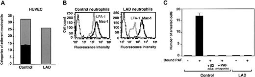 Figure 1. Firm adhesion but not capture and rolling are defective in LAD neutrophils. (A) Neutrophil accumulation and development of firm arrest on TNF-activated HUVECs under physiological shear flow. Leukocytes isolated from a healthy donor (control) or patient (LAD) were perfused for 1 minute at 0.75 dyne/cm2 over the HUVEC monolayers, and accumulated leukocytes were subjected to a shear stress of 5 dyne/cm2 for a 10-second period. The number of leukocytes remaining adherent that either continued to roll on the monolayer (▦) or came to full arrest (▪) was determined. The values of adherent categories depicted in the figure correspond to fractions of the original leukocyte flux perfused in immediate contact with the endothelial layer. (B) FACS (fluorescence-activated cell sorter) staining of LFA-1 (gray lines) and Mac-1 (solid lines) integrins on control and LAD neutrophils using the mAbs TS2.4 (anti-αL integrin subunit) and CBRM1/2 (anti-αM integrin subunit) as primary antibodies. Background staining is shown by the dotted line. (C) PAF-triggered neutrophil arrest on nonactivated HUVECs. Control or LAD neutrophils were perfused at 0.75 dyne/cm2 over unstimulated HUVECs overlaid with PAF (100 nM, 5 minutes of incubation). Arrested cells were determined as in panel A. Where indicated, neutrophils were pretreated with the β2 integrin–blocking mAb TS1.18 (20 μg/mL, 5 minutes, 4°C). Values in panels A and C are given as mean ± range of determinations in 2 fields of view. Because transient tethers comprised less than 10% of the total cell-capturing events, they were not included in the analysis. Results in panels A-C are representative of 3 independent experiments.