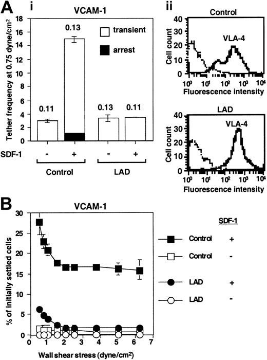 Figure 4. Defective triggering of VLA-4 avidity to VCAM-1 by chemokine in LAD PBLs. (A) SDF-1–augmented VLA-4–mediated capture and arrest of control and patient (LAD) PBLs to purified VCAM-1 under shear flow. (i) Frequency of PBL tethers to purified sVCAM-1 (2 μg/mL) with functional (+) or heat-inactivated (-) SDF-1 (2 μg/mL). The different tether categories were determined in 2 fields, and results are an average and range of each tether category. Mean duration of transient tethers is shown on top of bars. (ii) FACS staining of α4 integrins using the α4 subunit–specific mAb HP1/2. Background staining is indicated by the thin black lines. This mAb fully blocked all PBL adhesion to the different VCAM-1/SDF-1 substrates characterized in panels A-B (not shown). (B) SDF-1–triggered VLA-4–mediated adhesion of PBLs to VCAM-1 at rapid stationary contacts. Resistance to detachment by incremented shear forces developed by control or LAD patient PBLs settled for 1 minute at stasis on sVCAM-1 (2 μg/mL) coimmobilized with functional (+) or heat-inactivated (-) SDF-1 (2 μg/mL). Results are given as mean ± range of determinations in 2 fields of view. A representative experiment of 3 is shown.
