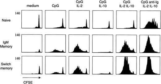 Figure 3. Differential requirements for naive and memory B-cell proliferation. Naive and memory B-cell subsets were isolated as in Figure 1, labeled with CFSE, and cultured with CpG 2006, anti-Ig, and cytokines in different combinations. Cell proliferation was assessed on day 5. CFSE is on a 4-log scale. One representative experiment of 10.