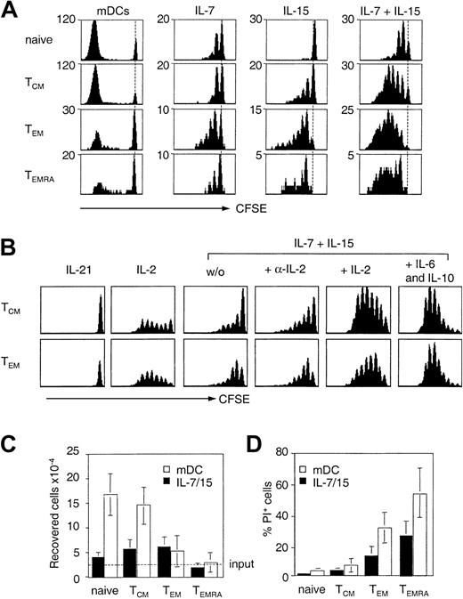 Figure 1. Expansion potential of human CD8+ T-cell subsets following cytokine or TCR stimulation. (A) Naive, central memory (TCM), effector memory (TEM), and CD45RA+ effector memory (TEMRA) cells were isolated from peripheral blood according to the expression of CCR7 and CD45RA, labeled with CFSE, and cultured with allogeneic mature DCs (mDCs) or stimulated with 25 ng/mL IL-7 and IL-15. Cell division was measured after 7 days. Dotted line indicates CFSE intensity of undivided cells. One representative experiment of 4 is shown. (B) Purified, CFSE-labeled TCM and TEM cells were stimulated with 25 ng/mL IL-21, 103 U/mL IL-2, 10 ng/mL IL-7 and IL-15 in the absence or presence of 103 U/mL IL-2, 2 μg/mL anti–IL-2, or 10 ng/mL IL-6 and IL-10. Proliferation was assessed by flow cytometry on day 7. The dotted line indicates the number of input cells. Number of viable cells (C) and percentage of dead (propidium iodide+) cells (D) recovered on day 7 after stimulation with allogeneic mDCs (□) or IL-7 and IL-15 (▪). Mean of 4 independent experiments.