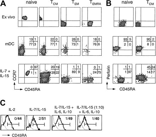 Figure 2. Differentiation potential of human CD8+ T-cell subsets following cytokine or TCR stimulation. (A) CD8+ T-cell subsets isolated by cell sorting were labeled with CFSE and stimulated with allogeneic mDCs or with IL-7 and IL-15. After 7 days cells that performed the same number of divisions were analyzed for the expression of CD45RA and CCR7. One representative experiment of 4 is shown. (B) Purified CD8+ naive and TCM cells were either analyzed for the expression of perforin and CD45RA ex vivo or labeled with CFSE, stimulated with allogeneic mDCs or with IL-7 and IL-15, and analyzed after 7 days for CD45RA and perforin expression. One representative experiment of 3 is shown. (C) Purified CFSE-labeled CD45RA–CD8+ TCM cells were stimulated in medium containing 103 U/mL IL-2, 25 or 2.5 ng/mL (1:10) IL-7 and IL-15 in the absence or presence of 10 ng/mL IL-6 and IL-10 in either uncoated (thick line) or anti-CD3–coated wells (dotted line). Viable dividing cells were analyzed on day 7 for CD45RA expression. Bars indicate positive staining and numbers percentage of CD45RA+ cells in the absence (bold) or presence (nonbold) of anti-CD3 antibody.