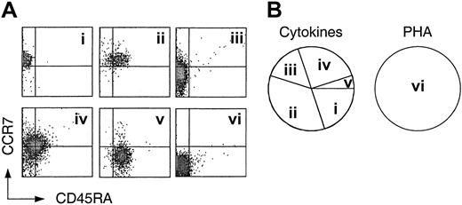 Figure 3. Heterogeneity of central memory CD8+ T cells revealed by cloning with cytokines. Central memory CD8+ T cells (CD45RA–, CCR7+) were cloned by single cell deposition in the presence of a cytokine cocktail or irradiated PBMCs and PHA plus exogenous IL-2. Following expansion for 3 weeks, the clones were analyzed for the expression of CD45RA and CCR7. (Ai-v) Five representative clones generated by cytokine stimulation. Cloning efficiency was approximately 20%. (vi) Phenotype of one representative clone generated by stimulation with PHA and feeder cells (cloning efficiency > 50%). (B) Frequency of cytokine and PHA-derived clones of 4 independent experiments.