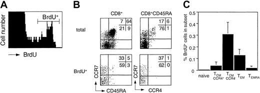 Figure 5. Ex vivo BrdU incorporation of CD8+ T-cell subsets. Freshly isolated PBMCs were incubated with BrdU and processed as described in “Materials and methods.” (A) BrdU staining on total CD8+ cells. (B) Distribution of CD8+ subsets of total and BrdU+ cells. (C) Mean percentage of BrdU+ cells in CD8+. subsets in 5 healthy donors.