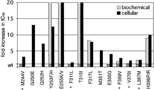 Figure 3. Fold increase in biochemical and cellular IC50 values of reported kinase domain mutants. A graphic representation of mutant sensitivities to imatinib. Mean fold differences are shown. Mutants whose cellular IC50 values are near or below reported trough levels of imatinib (1.46 μM) in patients treated with 400 mg4 are marked with an asterisk. For space considerations, single-letter amino acid codes are used here in place of 3-letter codes.