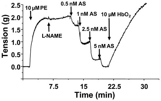 Figure 7. OxyHb reverses Angelis Salt–mediated relaxation. Vessels were precontracted and tension measured as described in “Materials and methods.” Relaxation (indicated by a decrease in tension) was stimulated by addition of GSH (100 μM), followed by increasing concentrations of Angelis salt (AS) as indicated. OxyHb (10 μM) was added as indicated and effects on vessel tension monitored. A representative vessel tracing from 3 separate experiments is shown. Experiments were conducted in KH buffer, equilibrated with 95% O2,5%CO2,at 37°C.