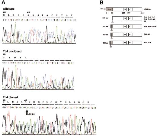 Figure 1. GATA1 mutant proteins. (A) Direct sequence analysis of genomic DNA from sample TL4 shows a mixed signal downstream of codon 44 indicating a frame-shift mutation. Sequencing of the cloned mutated GATA1 allele demonstrates a new stop codon at position 59. (B) Bar diagram of mutant GATA1 proteins. Compared with the 414-aa wild-type GATA1, the mutant proteins in DS-TL and DS-AMKL cases contain truncations of the N-terminal activation domain (AD, shaded in dark gray). Novel peptide sequences (shaded in light gray) added to the N-terminus of truncated GATA1 are due to a shift of the reading frame. Numbers to the left of bars indicate the length of the open reading frame encoded by wild-type (414 aa) and mutant GATA1. The corresponding cases of DS-TL (coded TL) and DS-AMKL (coded A) are indicated to the right of each bar. Numbers beneath bars refer to the amino acid sequence of wild-type GATA1 and either delineate the functional domains of the wild-type protein (top bar) or the residue at which N-terminal truncation occurs in the mutant protein (dashed lines). AD indicates activation domain; Nf, N-terminal zinc finger; and Cf, C-terminal zinc finger.