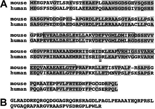 Figure 3. Amino acid sequence of the CNO protein. (A) Comparison of human and mouse CNO amino acid sequence reveals an overall identity of 77% (shaded residues). The predicted coiled-coil domains are boxed. In the mutant protein, the 81 amino acids from position 135 (aspartic acid, double underline) are replaced with those shown in panel B.