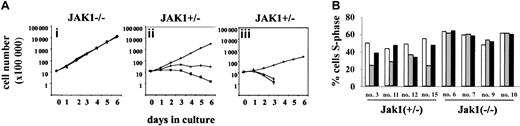 Figure 4. Ab-MuLV–transformed Jak1(+/–) cells react with cell death or growth arrest to IFN treatment. (A) Growth curves for Jak1(–/–) cells in the absence and presence of IFN-α or IFN-γ (i). Growth curves for Jak1(+/–) cells in the absence and presence of IFN-α or IFN-γ. Cells react either with growth inhibition (ii) or cell death (iii) to IFN treatment. ⋄ indicates control; ▪, IFN-α; and ▴, IFN-γ. (B) Tumor-derived cells from Jak1(+/–) and Jak1(–/–) tumors were explanted in culture in the absence and presence of IFN-α or IFN-γ; 24 hours thereafter, the cell cycle distribution was analyzed. In 9 of 20 samples investigated, cells explanted from Jak1(+/–) tumors had at least partially lost the ability to react to IFN-γ, but only one tumor sample lost the ability to react with growth arrest to IFN-α treatment. None of the Jak1(–/–)–deficient cells reacted to IFN treatment. □ indicates control; ▦, IFN-α; and ▪, IFN-γ. Four tumor samples of each group are shown.
