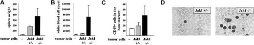 Figure 8. Tail-vein injection of Jak1(–/–) cells results in a more severe form of leukemia than injection of Jak1(+/–) cells. A total of 3 × 106 tumor cells were injected into nude mice via the tail vein, and the mice were analyzed 25 days thereafter. Four nude mice that received PBS only were used as controls. Data show mean values ± SD (n = 6 for tumor cell injections and n = 4 for control mice). (A) Spleen weight of the mice at the time point of analysis. (B) White blood cell count and (C) number of CD19+ cells in the bone marrow at the time point of analysis. (D) Blood smear of one Jak1(–/–)– and one Jak1(+/–)–injected nude mouse. Hematoxylin and eosin stain, original magnification, × 100.