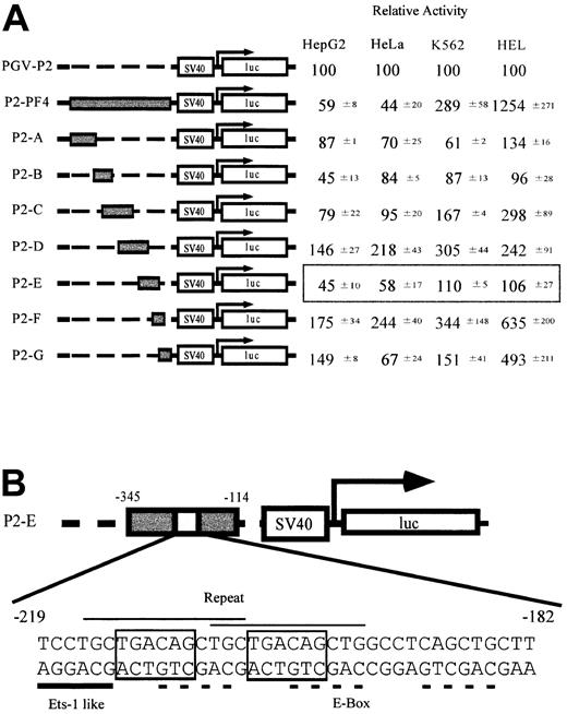 Figure 1. Screening of the regulatory elements related to the tissue-specific expression of the PF4 gene. (A) Relative activities of the constructs containing PF4 promoter fragments in the 4 cell lines. HepG2 and HeLa cells are nonmegakaryocytic cell lines. K562 cells are inducible, and HEL cells are constitutive megakaryocytic cell lines. Reporter plasmids containing either a full-length PF4 promoter (P2-PF4) or each of 7 fragments (P2A-P2G) linked to the SV40 minimal promoter were transfected into the 4 cell lines, and the luciferase assay was performed. Luciferase activities are expressed as relative activities ± SD, where the activity of the PGV-P2 was regarded as 100. (B) Structure of the novel regulatory element found only in the P2-E. Characteristic sequences are indicated by the lines above (repeated sequence, thin line) and below (ETS-1–like motif, thick line) the DNA sequence. Dotted lines and boxed sequences indicate E-box motifs and MEIS1 (TGACAG) binding motifs, respectively.