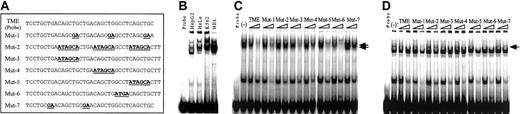 Figure 2. Detection of binding proteins to the TME by EMSA. (A) Sense sequences of the double-stranded oligonucleotides used in EMSA. TME indicates the wild-type TME sequence. Mutant oligonucleotides, Mut-1 to Mut-7, have various mutations in the TME and were used as the competitors. Bold underlined text indicates mutated sequences. (B) Wild-type TME EMSA performed with 6 μg nuclear extracts from 4 cell lines. (C-D) Competition experiments performed with nuclear extracts from HEL (C) and HepG2 (D) cells. (–) indicates no competitor. Arrows indicate the specific competed bands.