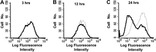 Figure 1. Down-regulation of HLA-DR at 1 day after infection on HCMV-infected cells. The expression of HLA-DR was analyzed at 3 to 24 hours after infection using flow cytometry. The expression of HLA-DR on mock-infected cells (gray line) and HCMV-infected cells (black line) at 3, 12, and 24 hours after infection is shown in panels A, B, and C, respectively.