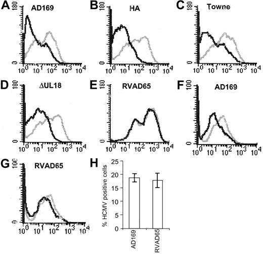 Figure 2. The RVAD65 HCMV strain does not affect the expression of HLA-DR. Fibroblasts infected with AD169, HA, Towne, UL18ΔHCMV, or RVAD765 were examined for the expression of HLA-DR at 1 day after infection. The level of expression of HLA-DR in AD169 (A), HA (B), Towne (C), UL18ΔHCMV (D), RVAD65 (E), or infected cells (black lines) was compared with the HLA-DR expression on uninfected cells (gray lines). Dendritic cells were mock infected or infected with AD169 or RVAD65 and analyzed for the expression of HLA-DR at 1 day after infection (F-G, respectively). Panel H represents the percentage of dendritic cells (±SD) stained positive for HCMV early antigens, where a significantly reduced HLA-DR expression was observed on the infected dendritic cell cultures (MOI 25).