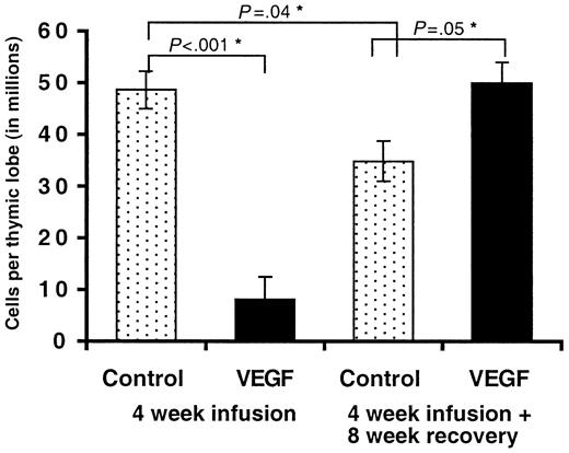 Figure 3. Thymocyte cellularity following inhibition of VEGF. Mice were treated with a continuous infusion of VEGF (50 ng/h) or PBS (controls) for a period of 4 weeks. Some animals were killed at 4 weeks for comparison purposes. Animals were then monitored for an additional 8 weeks. Total thymocytes were counted using a hemocytometer. Mean of 3 independent experiments ± SE shown. *Denotes statistical significance.