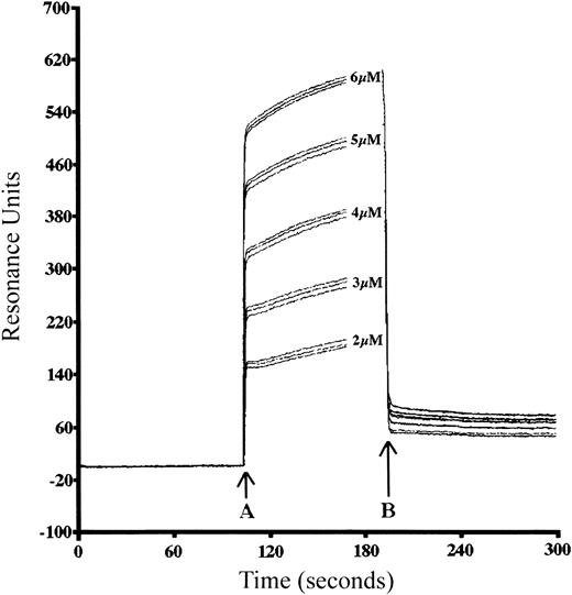 Figure 7. Sensorgram of surface plasmon resonance-based analysis of interleukin-8 binding to bPF4. Biotinylated PF4 was immobilized on SA5 streptavidin-coated dextran chip and perfused with equilibrium buffer at 20 μL/min. At time A (start of association phase), equilibrium buffer containing the indicated concentrations (2, 3, 4, 5, and 6 μM; each in triplicate) of IL-8 was perfused over the chip. At point B (start of dissociation phase), perfusion with unsupplemented equilibrium buffer is resumed. From an average kdiss/kassoc derived from a ks plot, an equilibrium dissociation constant (Kd) for the interaction of PF4 with IL-8 of 42 nM was calculated.