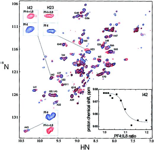 Figure 8. Nuclear magnetic resonance (NMR) spectroscopy of PF4 and IL-8 interaction. 1H-15N HSQC spectra of 15N-labeled PF4 in the absence (blue) and presence (red, 1:1 ratio) of unlabeled IL-8 are shown. The spectra were collected at 40°C (pH = 5.0). Insets show an expansion of 3 regions (A43, I42, and H23) to exemplify the chemical-shift changes occurring upon addition of IL-8 to PF4 solution. Also, the proton chemical-shift dependence versus PF4/IL-8 ratio is presented for I42 as an example. Dashed line is plotted to visualize the trend of the chemical-shift dependence.