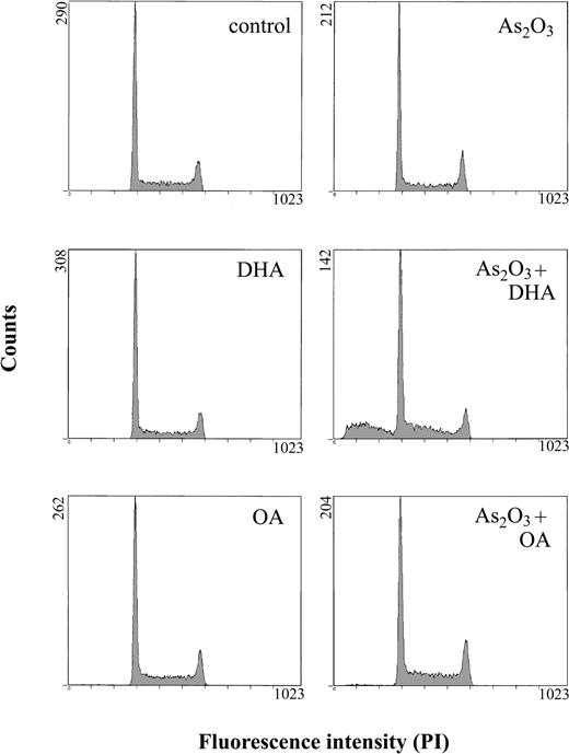 Figure 3. Effects of As2O3 and DHA on the cell-cycle status and apoptosis. Cells were treated for 24 hours with 1 μM As2O3, 25 μM DHA, or 1 μM As2O3 and 25 μM DHA in combination. For comparison, cells were treated with 25 μM OA ± 1 μM As2O3 or left untreated (control). Thereafter, the cells were stained with propidium iodide (PI), and the percentage of cells with hypodiploid DNA content, representing the proportion of apoptotic cells, was determined by means of flow cytometry.