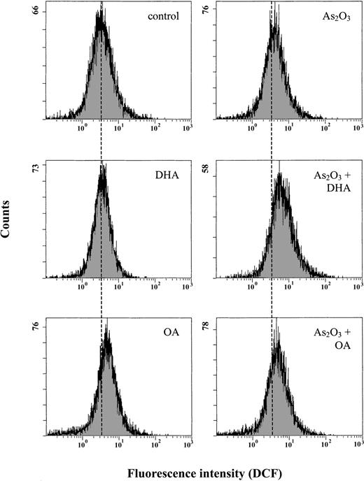 Figure 4. Effects of As2O3 and DHA on intracellular accumulation of ROS in HL-60 cells. Cells were treated with 1 μM As2O3,25 μM DHA, or the combination of both substances for 12 hours. For comparison, cells were treated with 25 μM OA ± 1 μM As2O3 or left untreated (control). Intracellular ROS were measured by flow cytometry using an oxidation-sensitive fluorescent probe, DCFH-DA, which is oxidized to DCF in the presence of ROS. For improved illustration, a guidance line (dotted line) has been drawn through histograms to be compared.