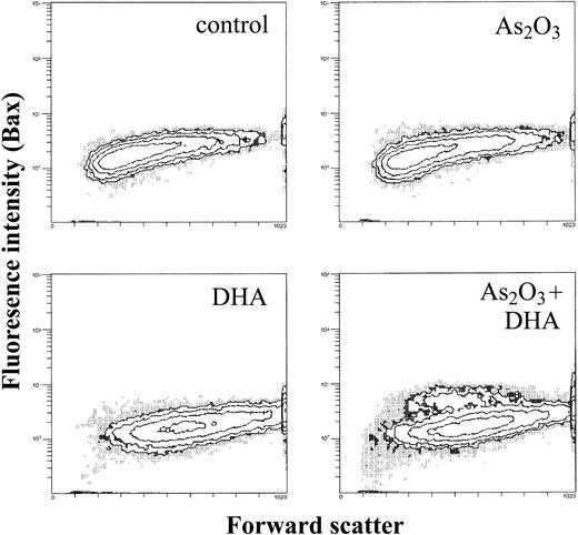 Figure 8. Effects of As2O3 and DHA on intracellular Bax expression of HL-60 cells. Cells were treated with 1 μM As2O3, 25 μM DHA, or the combination of both substances for 24 hours. After treatment, cells were washed, permeabilized, and stained with an unconjugated monoclonal anti-Bax antibody, followed by a FITC-conjugated secondary antibody. Data are expressed as contour plots of the forward scatter image (x-axis) plotted against Bax fluorescence intensity (y-axis) of a representative experiment.
