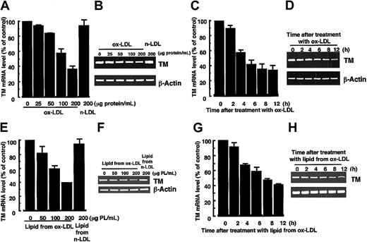 Figure 1. Dose- and time-dependent decrease in TM mRNA levels in HUVECs treated with ox-LDL or crude lipid extracts from ox-LDL. (A-B) Cells were treated for 12 hours with or without various concentrations of ox-LDL or 200 μg protein/mL native LDL (n-LDL). (C-D) Cells were treated with 200 μg protein/mL ox-LDL for various times. (E-F) Cells were treated for 12 hours with or without crude lipids extracts (lipids) from ox-LDL or from 200 μg protein/mL n-LDL. The lipid concentrations are expressed as the equivalent concentration of phospholipids (PL) in various concentrations of ox- or n-LDL. The crude lipid extracts containing 200 μg/mL PL from LDL are of equal concentration to those in 200 μg protein/mL LDL. (G-H) Cells were treated for various times with the crude lipids containing 200 μg PL/mL extracted from ox-LDL. Total RNA was extracted from the cells, and TM mRNA levels in the cells were analyzed by quantitative RT-PCR as described in “Materials and methods.” (B,D,F,H) The autoradiograms of panels B, D, F, and H were analyzed by densitometry and the results are expressed in panels A, C, E, and G, respectively, as a percentage of control values after normalization to the β-actin mRNA signal. Panels A, C, E, and G represent the mean ± SD from 4 independent experiments, and panels B, D, F, and H show representative results.