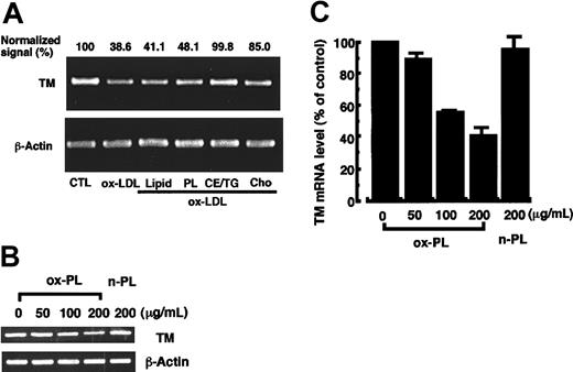 Figure 2. Phospholipids separated from ox-LDL induce a decrease in TM mRNA levels in HUVECs. The crude lipid extracts (Lipid) from ox-LDL were separated as described in “Materials and methods” into the phospholipid (PL), cholesterol ester and triglyceride (CE/TG), and free cholesterol (Cho) fractions. (A) HUVECs were treated for 12 hours with each lipid fraction at a concentration equivalent to that found in 200 μg protein/mL ox-LDL. TM mRNA levels were determined by quantitative RT-PCR. The signal is expressed as the percentage of control values (CTL) after normalization to the β-actin mRNA signal. (B) Phospholipids n-PL and ox-PL were separated from crude lipid extracts of native LDL or ox-LDL, respectively, and dispersed in DMEM containing 20% FCS. HUVECs were incubated with or without increasing concentrations of the phospholipids for 12 hours and TM mRNA levels were determined. (C) The autoradiogram of panel B was analyzed by densitometry, and the data are expressed as the percentage of control values after normalization to the β-actin mRNA signal. Data show the mean ± SD from 4 independent experiments.