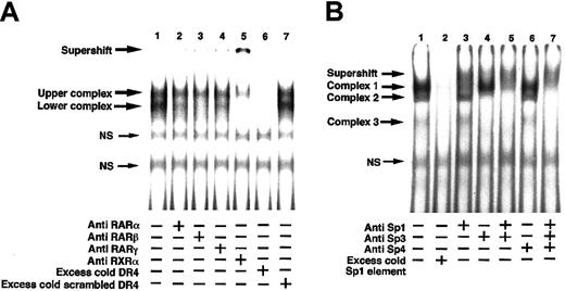 Figure 5. Supershift assay of nuclear proteins extracted from HUVECs with the DR4 sequence and Sp1 binding sequence in the TM promoter. Nuclear proteins were prepared from cultured control HUVECs as described in “Materials and methods.” Nuclear proteins (5 μg) were incubated with or without 1 μg antibody directed against human RARα, RARβ, RARγ, or RXRα protein (A) and Sp1, Sp3, or Sp4 proteins (B) for 30 minutes at 25°C. After incubation, 0.5 ng 32P-labeled DR4 or Sp1 oligonucleotide (1 × 105 cpm) was added, and the reaction was allowed to proceed for 30 minutes at 25°C before EMSA was performed. EMSAs were performed using 4% polyacrylamide gels, and complexes bound with the oligonucleotide were detected with a Bio-Imaging Analyzer (Fuji Film, Tokyo, Japan). Binding specificity of nuclear proteins with the labeled oligonucleotides was confirmed by addition of excess cold DR4 and a scrambled DR4 (A, lanes 6-7) or excess cold Sp1 oligonucleotide (B, lane 2). NS indicates nonspecific binding.