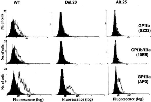 Figure 1. FACS analysis of transfected cells. Open histograms show the results from BHK cells expressing normal GPIIIa that were transfected with cDNA of normal GPIIb (WT) or mutated GPIIb (del.20 or alt.25). Monoclonal antibodies against GPIIb (SZ22), GPIIIa (AP3), and GPIIb/IIIa (10E5) were used. FITC-antimouse IgG plots are shown as black histograms. WT cells exhibited surface expression of GPIIb, GPIIIa, and GPIIb/IIIa, whereas cells containing GPIIb-del.20 or GPIIb-alt.25 displayed neither GPIIb nor GPIIb/IIIa but did display GPIIIa complexed with hamster αv.