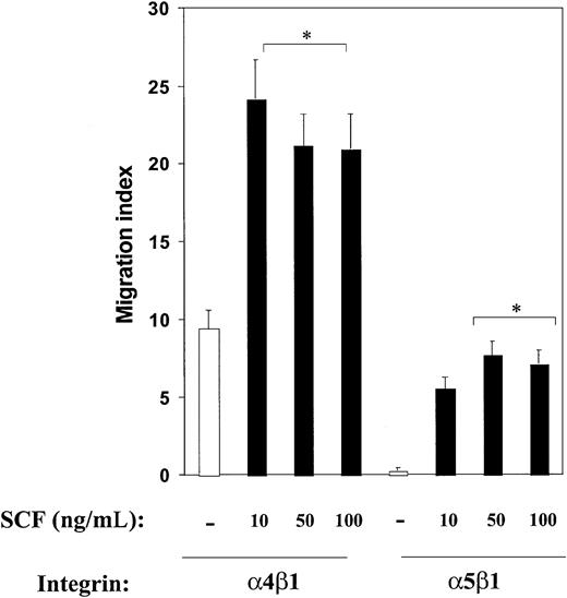 Figure 1. Effect of c-Kit activation on integrin-directed migration in mast cells. Activation of c-Kit modulates integrin-directed (haptotactic) migration in mast cells. Migration assays were performed with the use of mast cells and FN (H296, which contains binding site for α4β1; or CH271, which contains binding site for α5β1) in the presence or absence of increasing SCF concentrations as described in “Materials and methods.” Cell migration is expressed as a migration index and calculated as the fold increase over the negative control (BSA-coated wells). Cell migration on BSA was less than 0.001% of the total cell population. Shown are the means ± standard errors of the means (SEMs) of 40 different fields from 2 independent experiments performed in duplicate. *P < .05 for α4β1 or α5β1 in the presence of SCF (all concentrations) versus α4β1 or α5β1 in the absence of SCF (all concentrations).