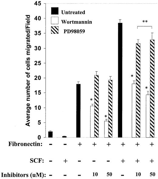 Figure 3. Integrin-directed migration and the PI-3kinase pathway. integrin-directed migration is dependent on the PI-3kinase pathway. Migration assays were performed with mast cells in the presence or absence of SCF and indicated concentrations of wortmannin and PD98059 inhibitors. Cells were first preincubated with indicated concentrations of inhibitors for 1 hour at 37°C. Thereafter, cells were washed and migration was performed as described in “Materials and methods.” Data are the means ± SEMs of 40 different fields from 2 independent experiments performed in duplicate and are expressed as the average number of migrated cells per field. *P < .05 for untreated versus wortmannin.**P < .05 for untreated versus PD98059.
