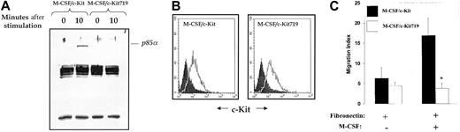 Figure 4. Effect of Tyr719Phe substitution in c-Kit on PI-3kinase and haptotactic migration in mast cells. Tyrosine-to-phenylalanine substitution at position 719 in c-Kit abrogates the binding of the p85α subunit of PI-3kinase and impairs c-Kit–induced haptotactic migration in mast cells. (A) Lack of association of the p85α subunit of PI-3kinase with the 719 chimeric c-Kit receptor. Cells expressing either the M-CSF/c-Kit or the M-CSF/c-Kit719 receptor were starved and stimulated with M-CSF for indicated times. Equal amounts of protein were subjected to IP with the use of an anti–M-CSF receptor antibody, and Western blot analysis was performed with an anti-p85α antibody. Shown is the position of p85α. (B) Flow cytometric analysis of mast cells expressing M-CSF/c-Kit (left panel) and M-CSF/c-Kit719 (right panel). Solid histogram demonstrates staining using an isotype control antibody. Open histogram indicates the level of expression of the M-CSF receptor. (C) Mast cells expressing either M-CSF/c-Kit or M-CSF/c-Kit719 were subjected to migration in the presence or absence of M-CSF as described in “Materials and methods.” Shown are the mean ± standard deviation (SD) of 3 independent experiments. *P < .05 for M-CSF/c-Kit versus M-CSF/c-Kit719.