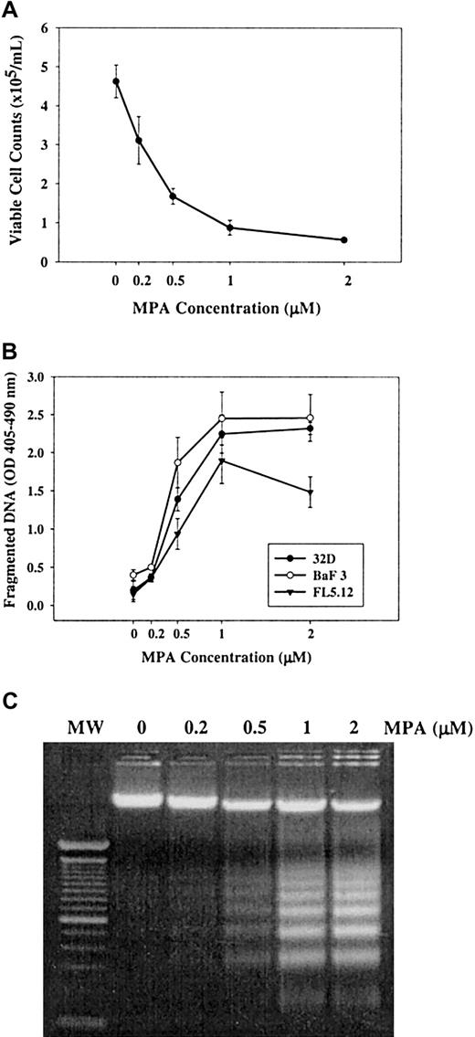 Figure 1. Effect of MPA on 32D, FL5.12, and BaF3 cell growth and survival. Cells were treated with indicated doses of MPA for 24 hours. (A) 32D cell counts determined in quadruplicate. This is a representative experiment that has been repeated in 32D cells at least 3 times; the same effect was also seen in FL5.12 and BaF3 cells. (B) 32D, BaF3, and FL5.12 cells were treated with indicated doses of MPA for 24 hours, and apoptosis was measured by the presence of fragmented DNA using ELISA. Values are mean ± SD of 3 independent experiments for each cell line. (C) Apoptosis of 32D cells as measured by DNA ladder formation. 100-bp DNA markers (MWt) are included.