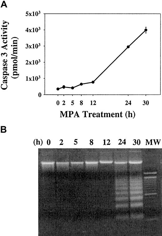 Figure 3. Time-dependent induction of apoptosis by MPA. 32D cells were treated with 2 μM MPA and harvested at indicated time points. (A) Activation of caspase 3. (B) DNA fragmentation of the same samples. Data are representative of 3 independent experiments; the caspase 3 assay was performed in triplicate, and values are mean ± SD.