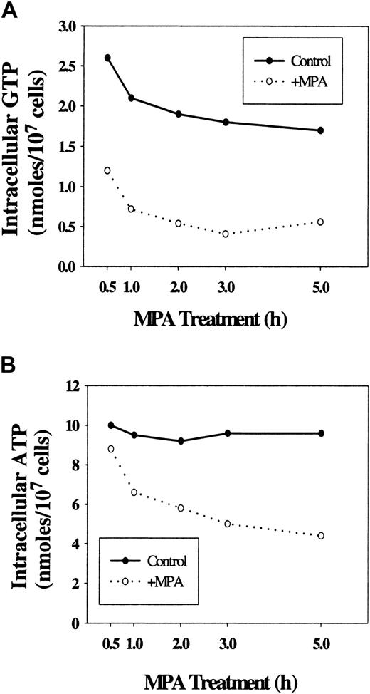 Figure 4. Effect of MPA treatment on purine nucleotide pools. 32D cells were treated with MPA at 2 μM for the indicated times. GTP (A) and ATP (B) levels were measured by HPLC. Data are from 1 representative experiment. Similar results were obtained in at least 3 other independent assays. The decrease in ATP following MPA treatment was also confirmed by luciferase assays.