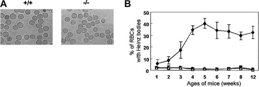 Figure 3. Heinz bodies in Prx II–/– mice. (A) RBCs stained with brilliant cresyl blue. Heinz bodies (dark inclusions within the RBCs) were found only in Prx II–/– mice. Original magnification, × 1000. (B) Heinz body formation in homozygous (⋄), heterozygous (▪), and wild-type (▵) mice from 1 to 12 weeks of age. Bars represent SEMs.