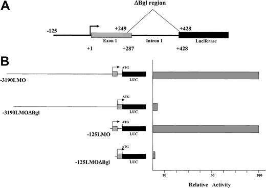 Figure 3. A critical element resides in a fragment spanning a part of untranslated exon 1 and IVS1. (A) Deletion of the 180-bp ΔBgl fragment is diagrammed. (B) The elimination of this region significantly reduces expression in K562 cells.