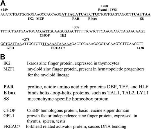 Figure 4. Nucleotide sequence of the ΔBgl region from the LMO2 distal promoter. (A) Transcription factor consensus sites are underlined. Sites in bold are highly conserved between the mouse and human sequences. (B) A description of the factors that bind to these consensus sites.