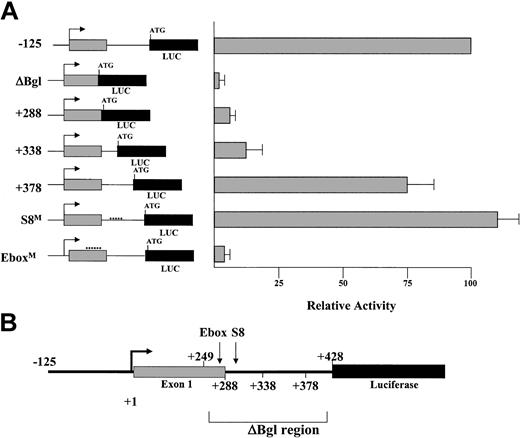 Figure 5. Mutations in the conserved Ebox motif disrupt LMO2 promoter activity in K562 cells. (A) Diagram of the position of a deletion series within the ΔBgl region of the LMO2 gene promoter. The position of the Ebox and S8 motifs subjected to site-specific mutation are also noted. (B) Illustration of the activity of the constructs derived from this region, assayed in K562 cells.