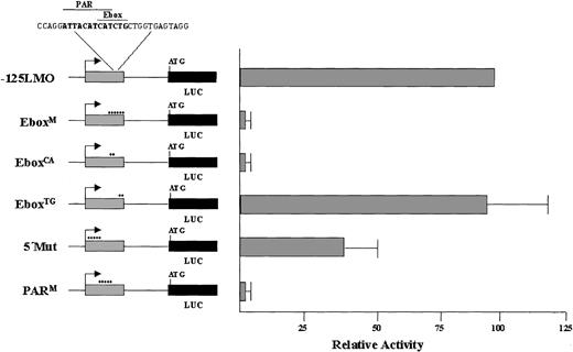 Figure 7. Site-specific mutations indicate a PAR site overlapping the Ebox motif is critical for LMO2 promoter activity in K562 cells. The nucleotide substitutions used in the EMSA shown in Figure 6 were introduced into –125LMO-Luc constructs and analyzed in K562 cells.