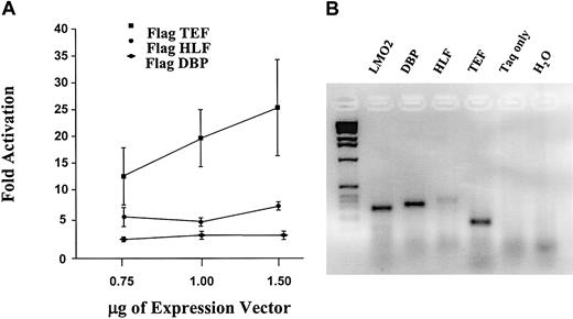 Figure 9. TEF produces the highest transcriptional activation through the LMO2 PAR-binding site. (A) Increasing amounts of FLAG-tagged PAR expression constructs were cotransfected into K562 cells with the TATA-PAR reporter construct. The level of TATA-PAR luciferase expression in the absence of PAR proteins was set as 1. A Western blot analysis was also performed to ensure approximately equal expression of the factors from each construct. (B) Endogenous coexpression of LMO2 and the PAR genes in primary erythroid cells was demonstrated by RT-PCR analysis of RNA from human reticulocytes. The 2 control lanes were from reactions incubated with the DBP primers; similar negative results were obtained with the other primer sets.