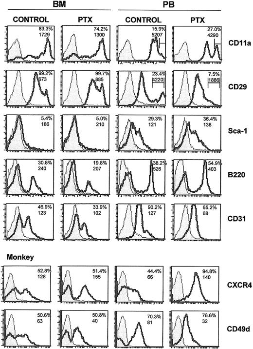 Figure 3. Flow cytometric analysis of BM and PB from normal and mobilized animals. Mononuclear cells from BM and PB from control and Ptx-treated mice and one Ptx-treated monkey (bottom 2 panels) were labeled with directly conjugated antibodies. The shaded areas represent isotype controls and solid lines represent cells labeled by the directly conjugated antibodies noted. Numbers within histograms represent percent positive cells (top numbers) and mean fluorescence intensity (MFI; bottom numbers). Bars in anti-CD11a and anti-CD29 histograms represent proportions of cells with high expression.
