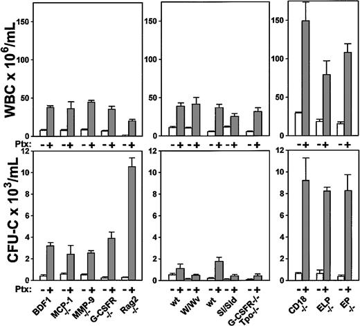 Figure 8. Increments in WBCs and in circulating CFU-Cs of several knockout models following Ptx treatment. Data are recorded at day 3 after treatment and treated or untreated groups included 3 to 5 animals per group. White bars indicate baseline values; gray bars are values after Ptx treatment.