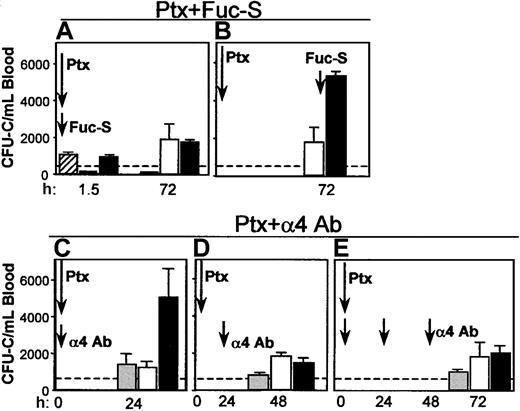 Figure 9. Coadministration of Fuc-S and Ptx, or anti-α4 and Ptx. Combination treatments of Ptx with Fuc-S (A, B) or anti-α4 (C, D, E) resulted in different outcomes (enhancement or no enhancement of CFU-C/mL blood), depending on whether the 2 compounds were administered concurrently or sequentially with respect to Ptx injection. Bars represent CFU-C levels after injections of Fuc-S alone (striped), Ptx alone (white), anti-α4 alone (gray), and combinations (FucS + Ptx or α4 + Ptx, black). Arrows indicate the time of treatment administration, and times of testing are recorded on the horizontal axis.