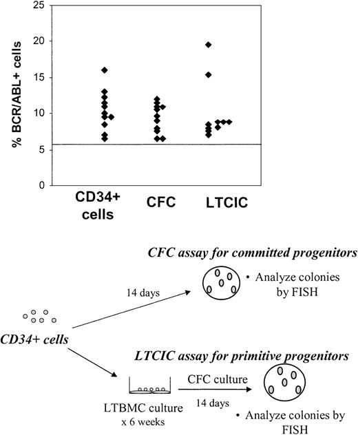 Figure 2. Persistence of BCR/ABL+ cells with CFC and LTCIC capacity in CML patients in CCR with imatinib mesylate treatment. CD34+ cells were plated in CFC (committed progenitor, n = 15) and LTCIC (primitive progenitor, n = 13) assays, and the resulting colonies were harvested and analyzed for BCR/ABL+ cells by FISH as shown in the bottom half of the figure. Results from the first sample studied are shown and represent the percentage of BCR/ABL+ cells in colonies resulting from CFC and LTCIC assays. The percentage of CD34+ cells (n = 15) that were BCR/ABL+ is shown for comparison. A percentage less than or equal to 6% of cells with a BCR/ABL fusion signal is considered within background limits and is shown by the horizontal line. CD34+ cells from 4 patients, CFCs from 4 patients, and LTCICs from 3 patients were BCR/ABL– by FISH.
