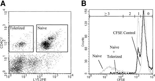 Figure 2. Inhibition of cell division of naive CD4+ T cells cocultured with tolerized CD4+ cells. The addition of tolerized cells inhibits cell division of naive CD4+ T cells in vitro. CFSE-labeled naive B6 CD45.2 CD4+ T cells were cultured with bm12 stimulators with or without the addition of tolerized B6 CD45.1 CD4+ cells at a ratio of 4 naive cells to 1 tolerized cell. On day 6, CD45.2 CD4+ cells were identified (Figure 2A) and analyzed for CFSE dilution by flow cytometry (Figure 2B). 17.5% of naive cells cultured alone and 3.2% of naive cells cocultured with tolerized cells had undergone 2 or more cell divisions. Gates for each number of cell divisions were calculated based on comparison with undivided control cells (Table 1). Data are representative of 2 replicate experiments with similar results.