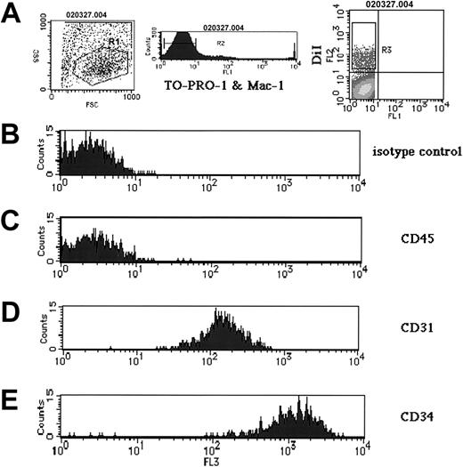 Figure 3. Flow cytometry analysis on DiI+ isolated cells of YS after 1 hour of culture. The tissues of the inoculated embryos after 1 hour of culture were incubated in a dispased solution and examined by flow cytometry. (A) After the adequate cell population was selected by R1 (left panel), both dead cells incorporating TO-PRO-1 and the Mac-1+ cells were eliminated by R2 (middle panel), and the cells expressing DiI were observed (right panel). DiI+ cells selected by R3 were analyzed (B-E). (B) Isotype control. (C-E) Expression of CD45 (C), CD31 (PECAM) (D), and CD34 (E) by DiI+ cells.