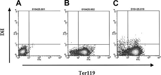 Figure 6. Ter119 expression on DiI+ cells analyzed by flow cytometry. (A) Isotype control. (B-C) Profiles of the samples from noninoculated (B) and inoculated embryos (C) with Ac LDL-DiI after 12 hours of culture.